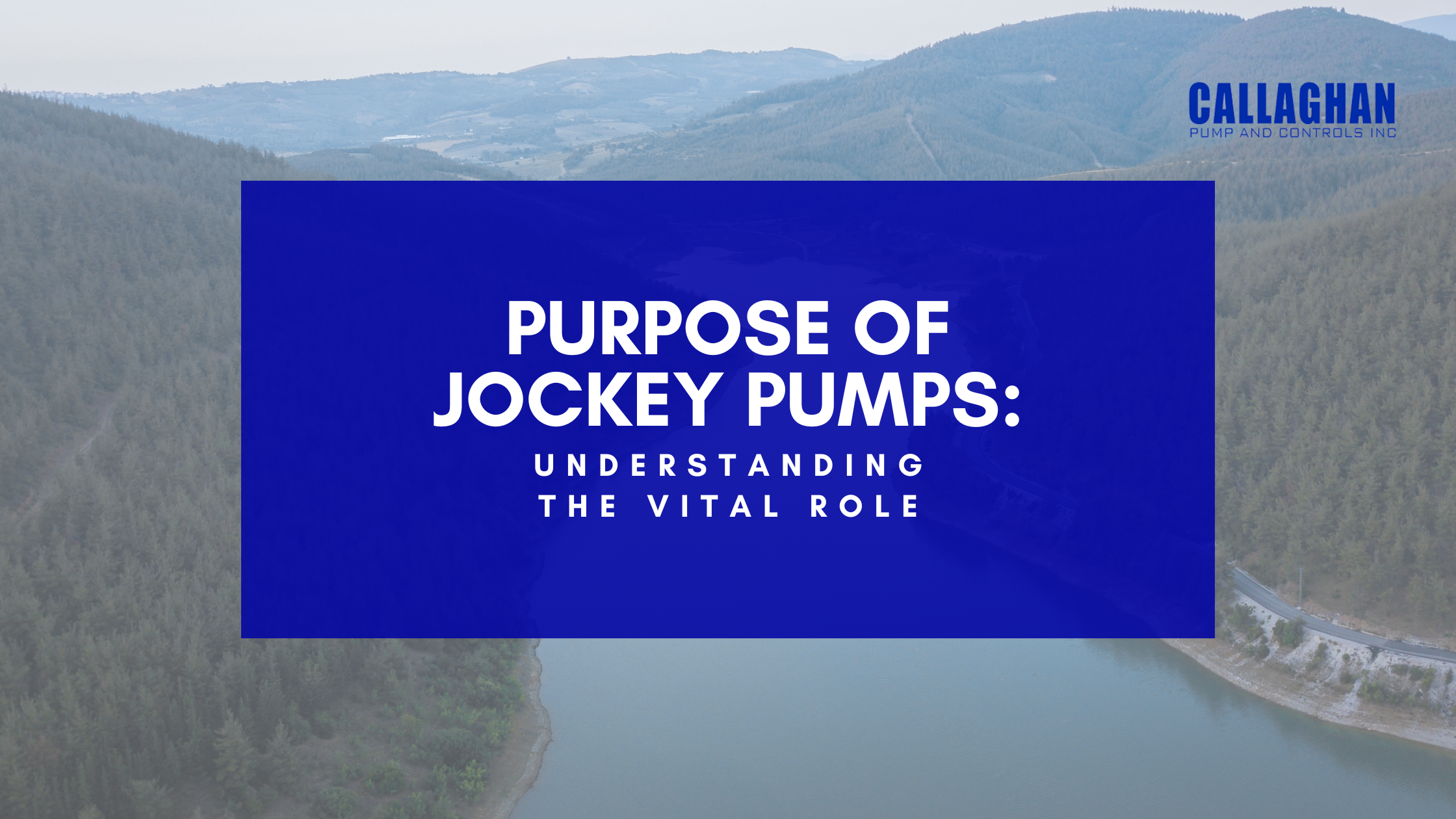 Purpose of Jockey Pumps