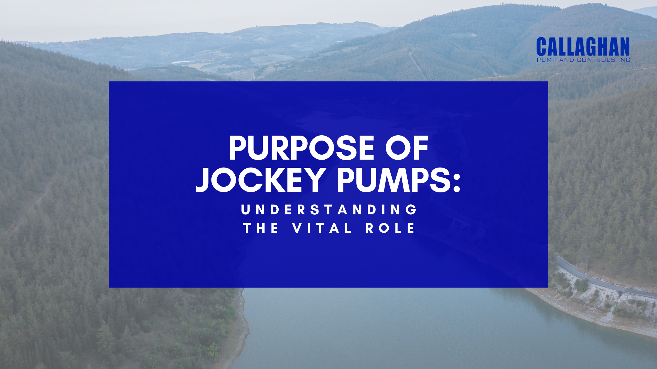 Purpose of Jockey Pumps: Understanding the Vital Role