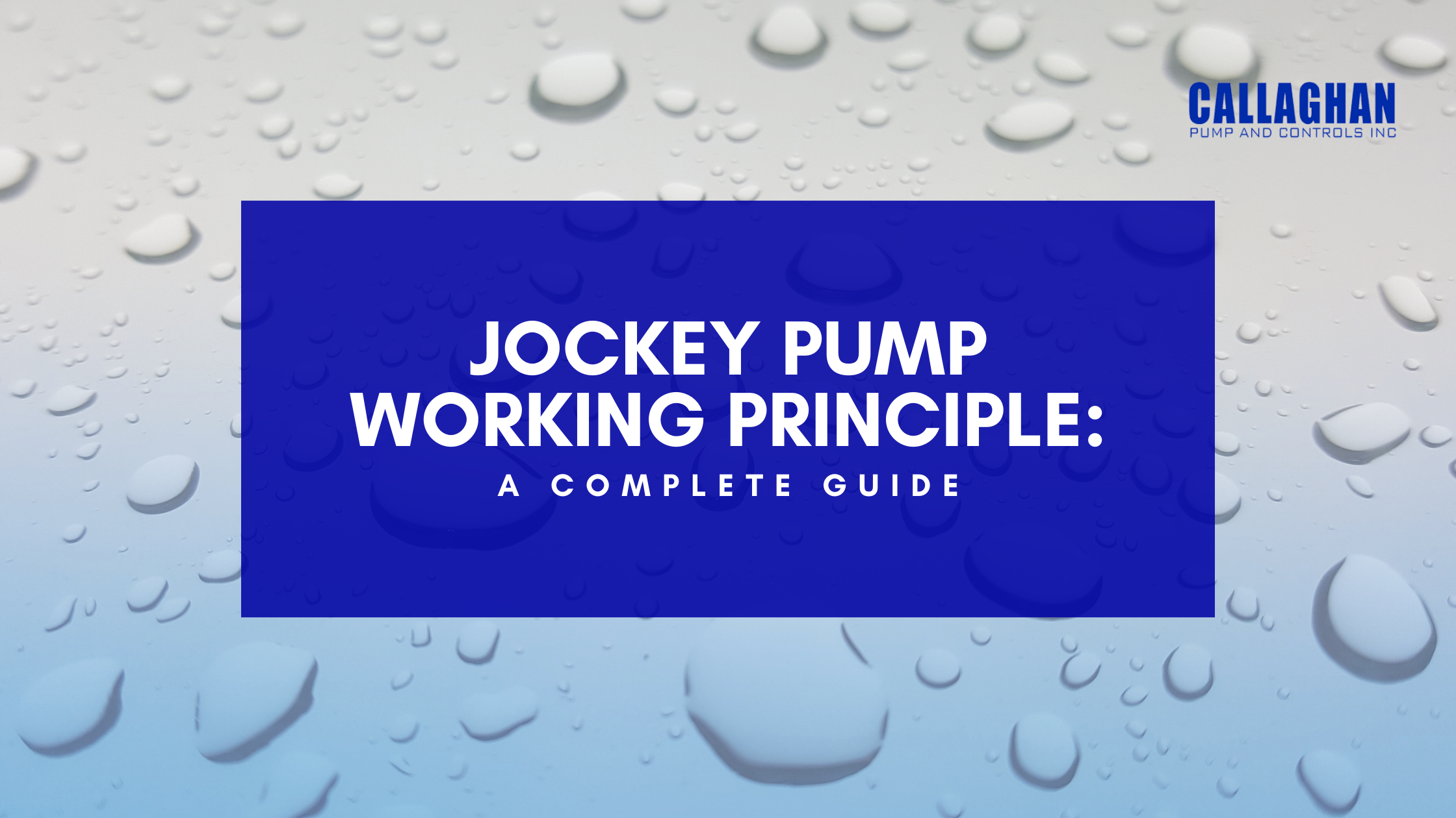 Jockey Pump Working